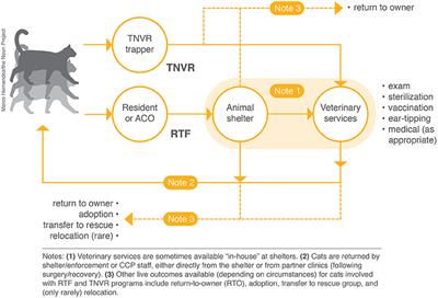 Integrated Return-To-Field and Targeted Trap-Neuter-Vaccinate-Return Programs Result in Reductions of Feline Intake and Euthanasia at Six Municipal Animal Shelters